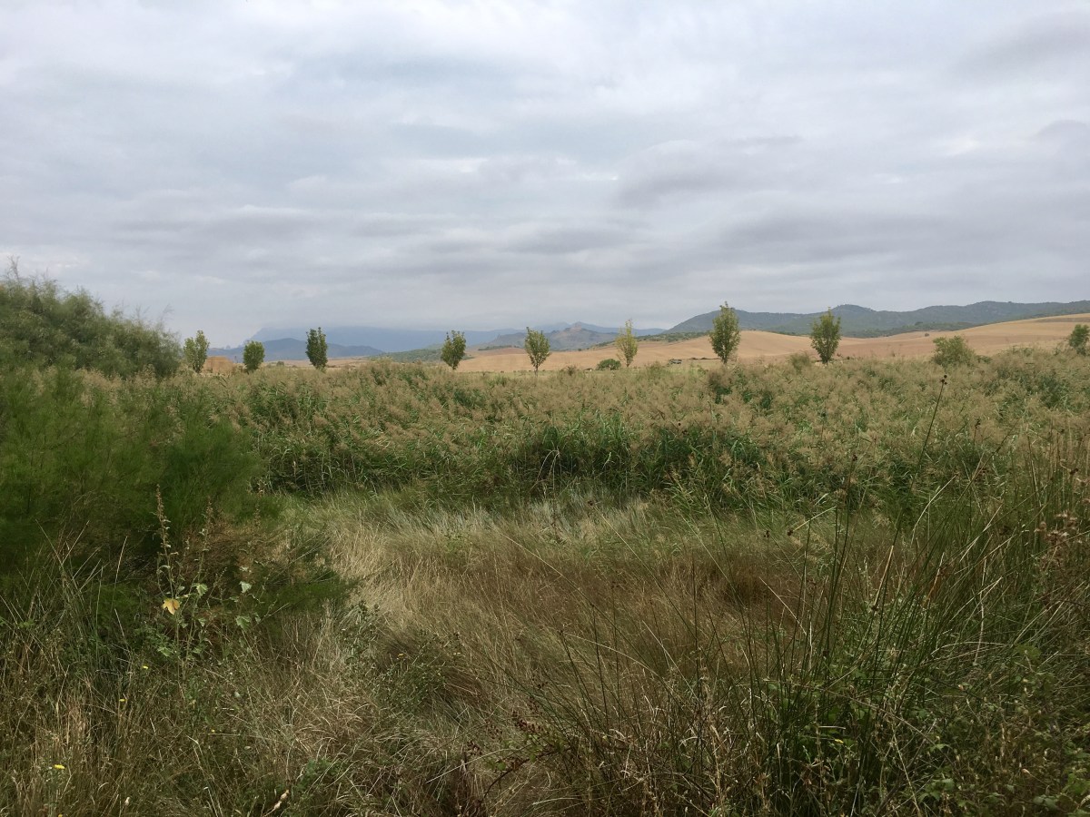 fullsizeoutput_18015