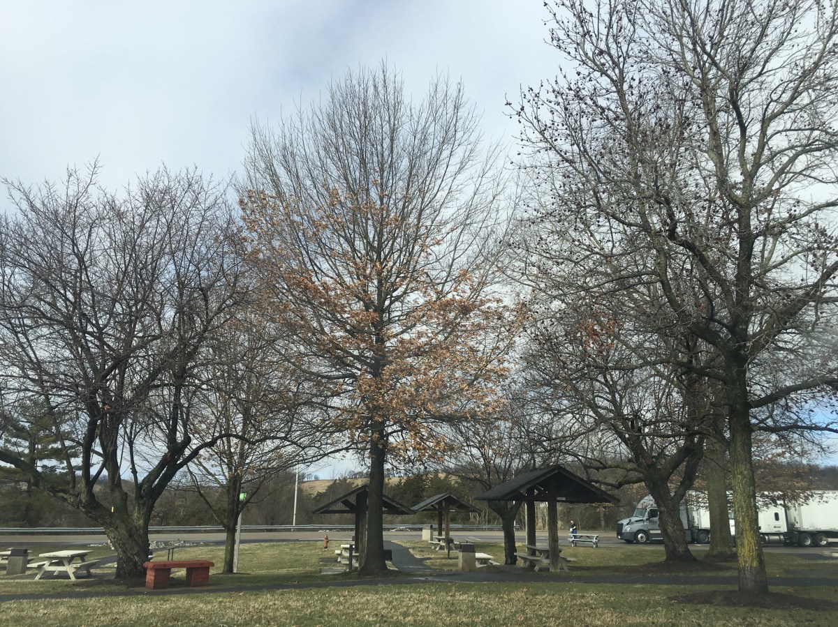 fullsizeoutput_18031