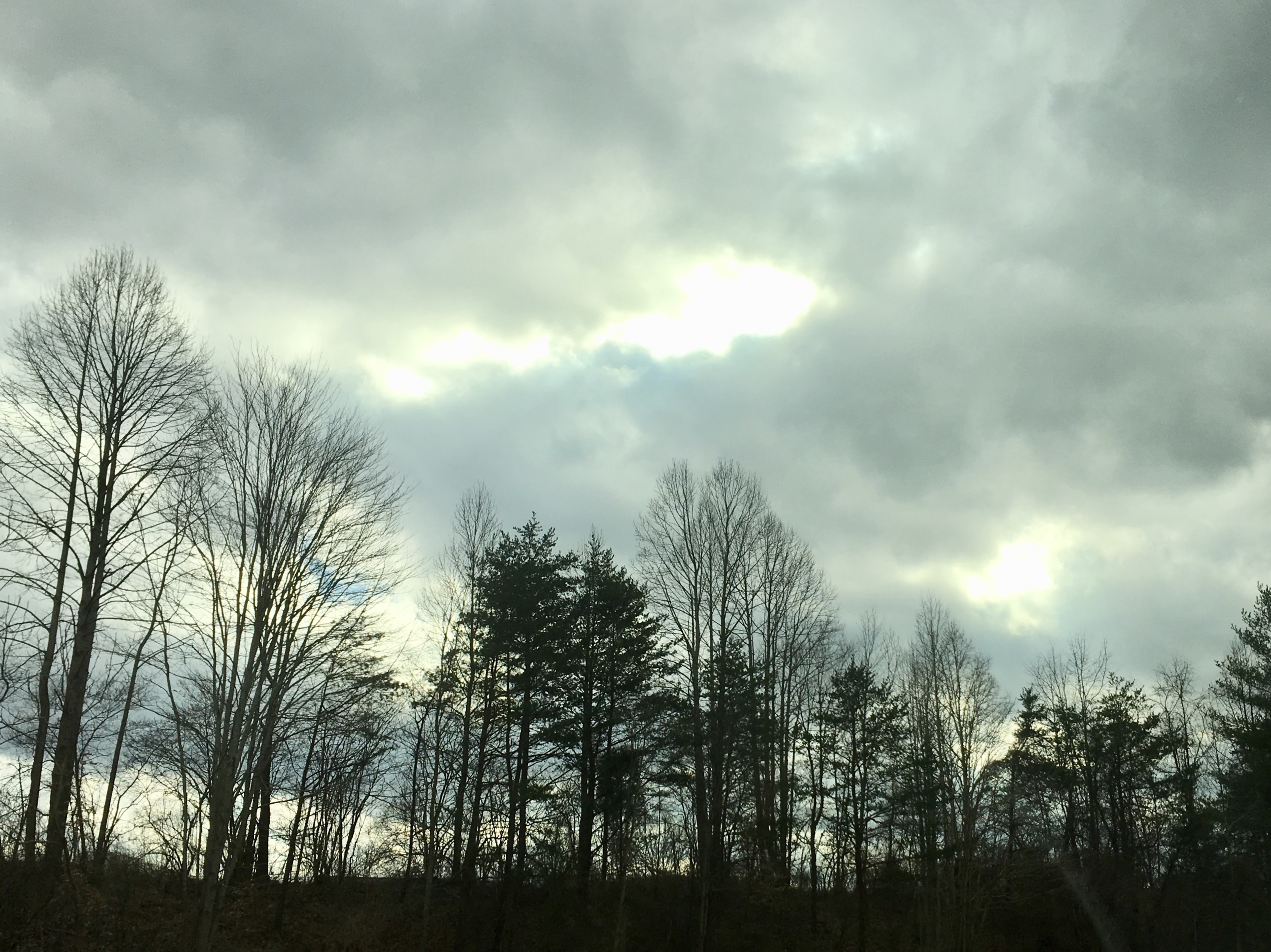 fullsizeoutput_18049