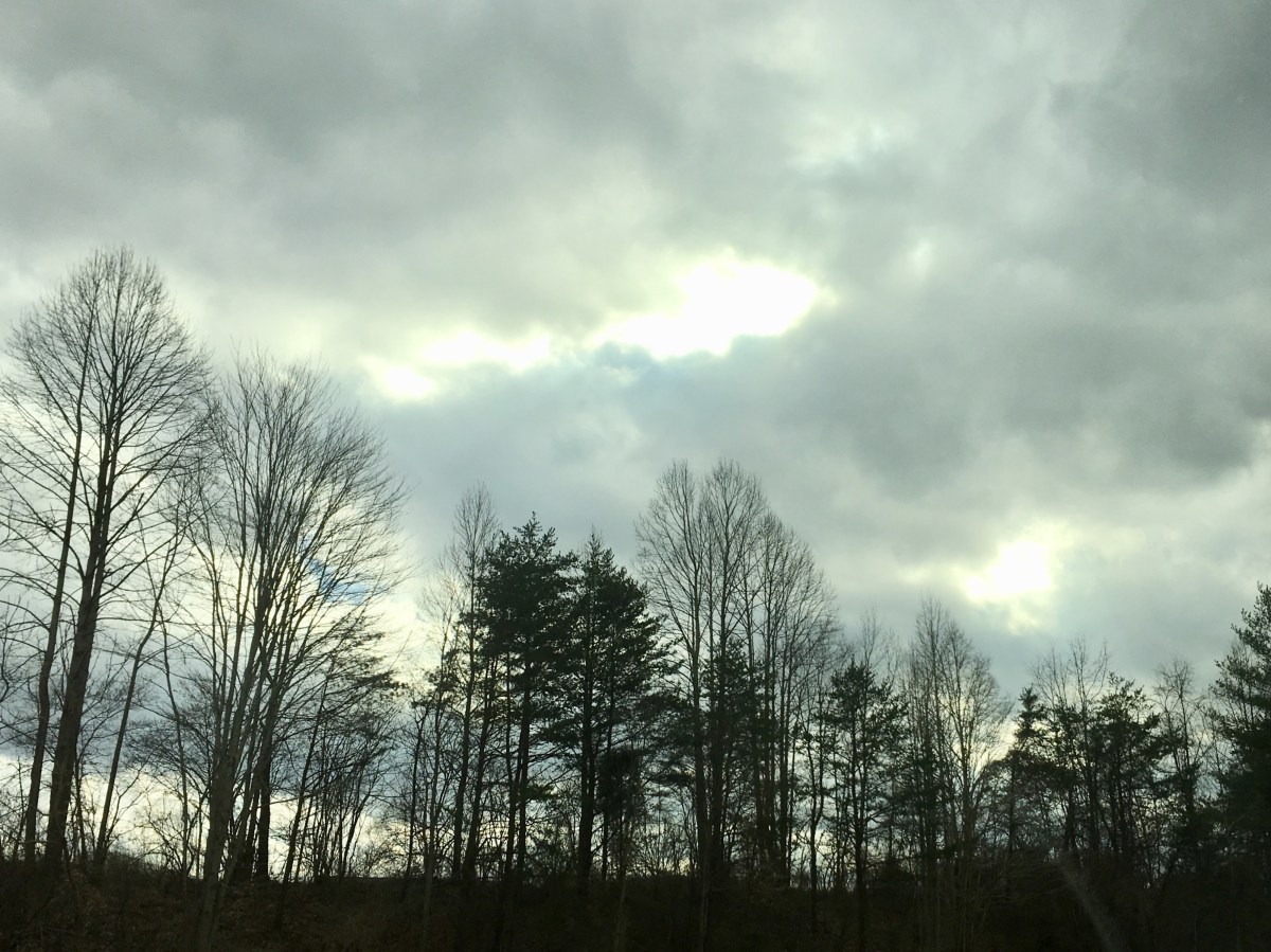 fullsizeoutput_18049