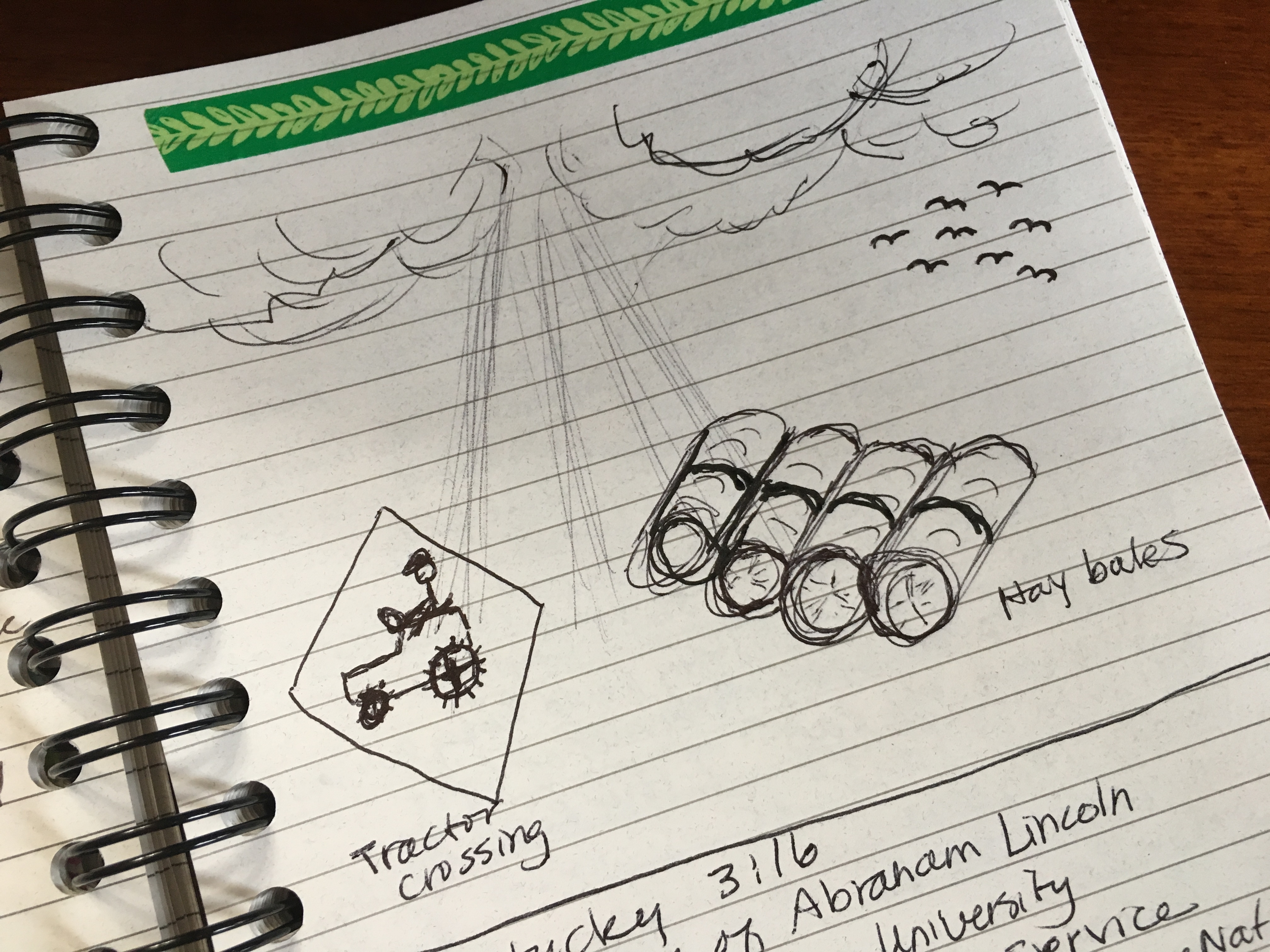 fullsizeoutput_1804d