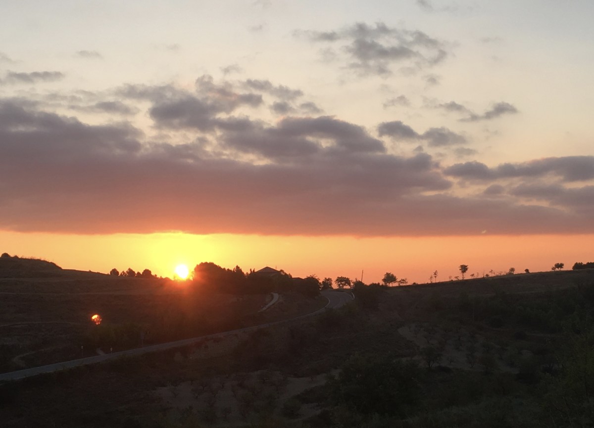 fullsizeoutput_18066