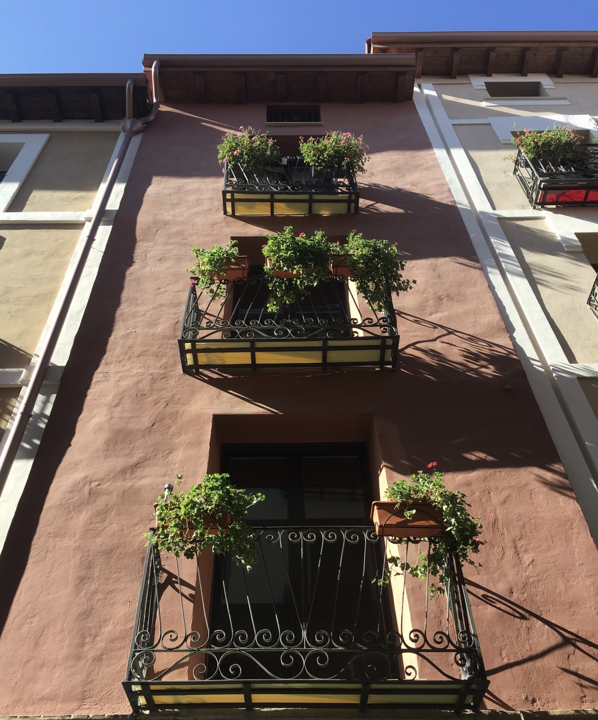 fullsizeoutput_18071