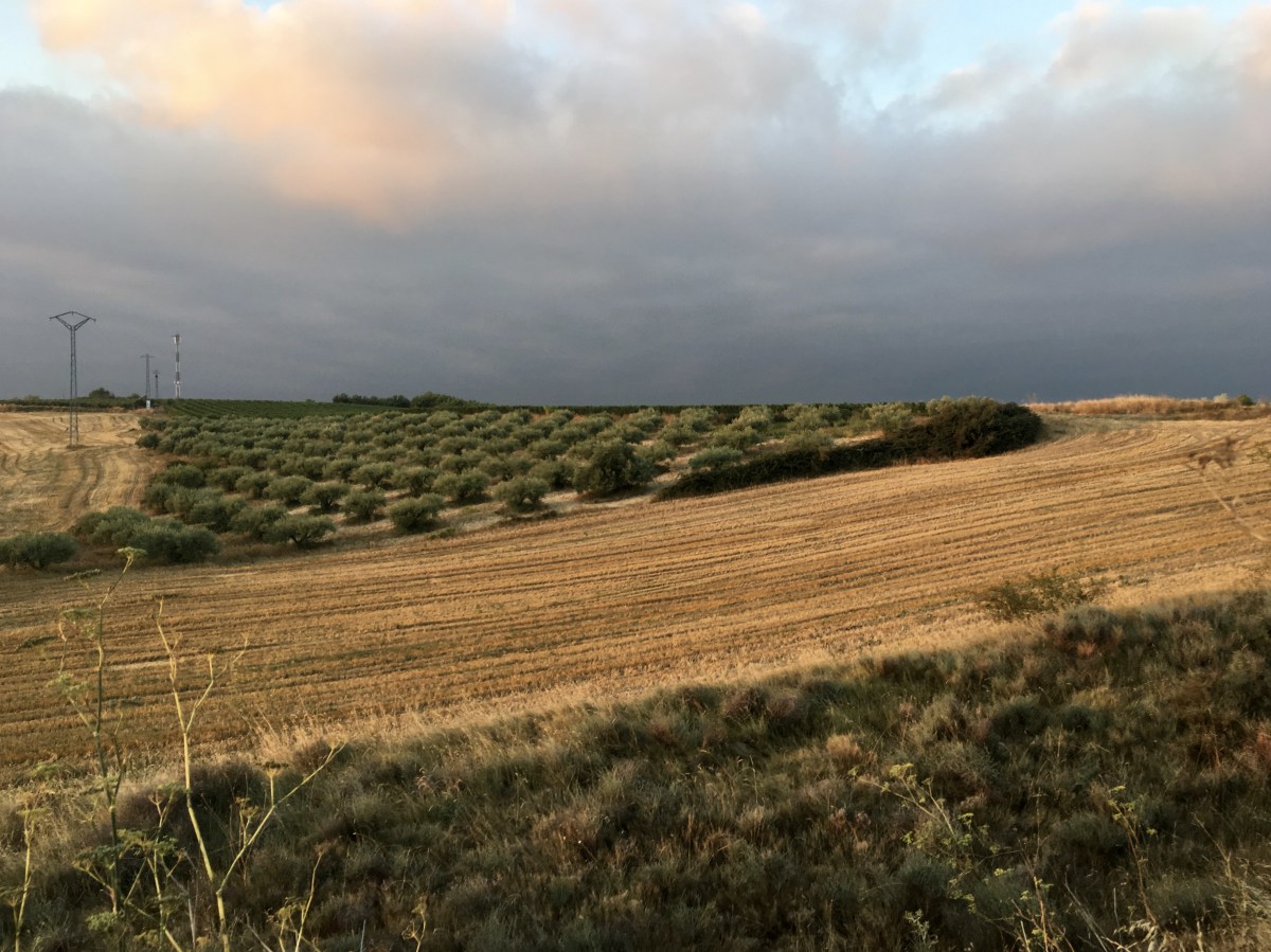 fullsizeoutput_18077