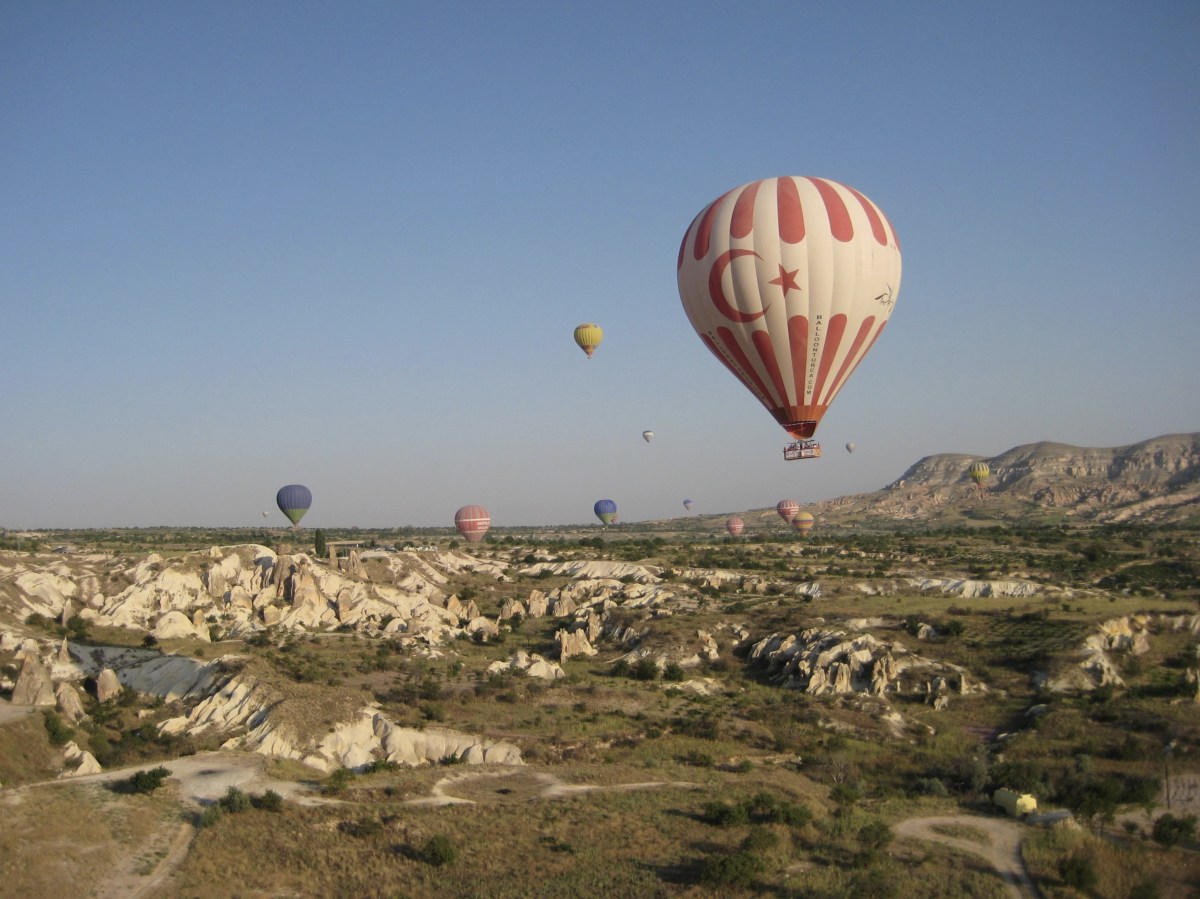 fullsizeoutput_14161