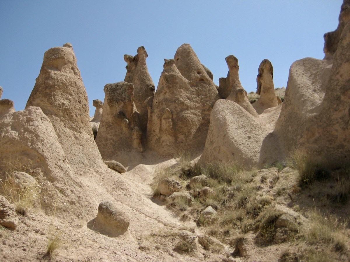 fullsizeoutput_1571b