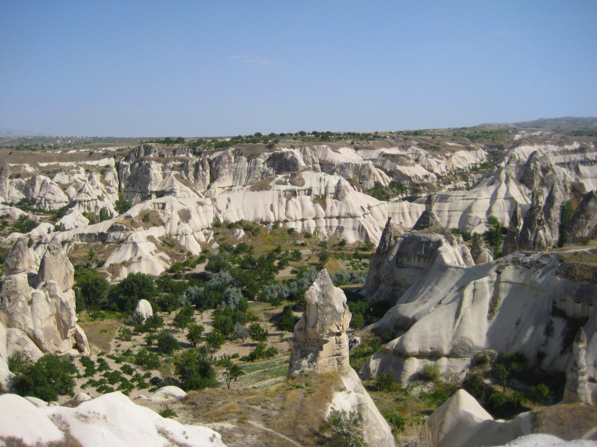 fullsizeoutput_15720