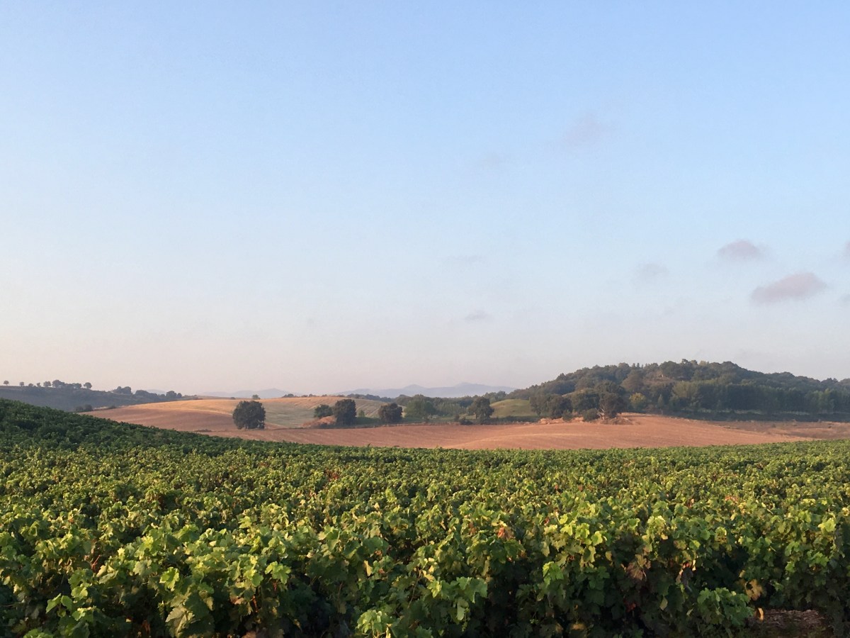 fullsizeoutput_16f0d