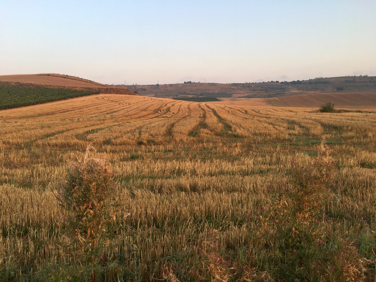 fullsizeoutput_16f0f