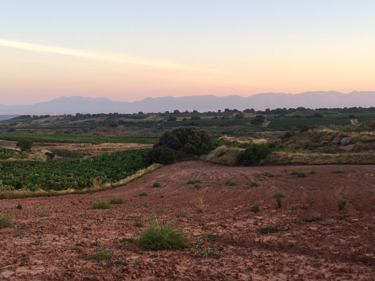 fullsizeoutput_16f53