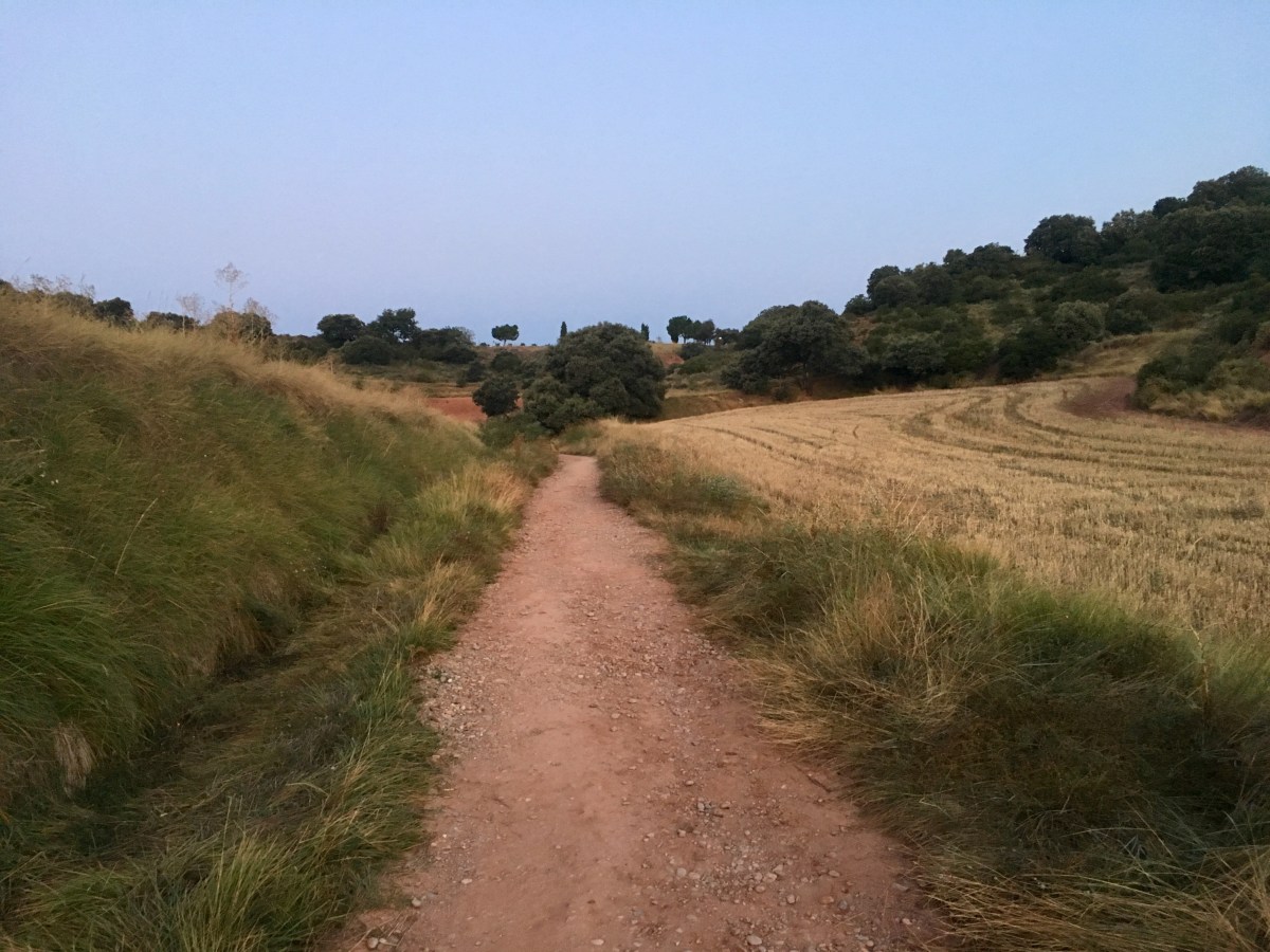 fullsizeoutput_16f5a