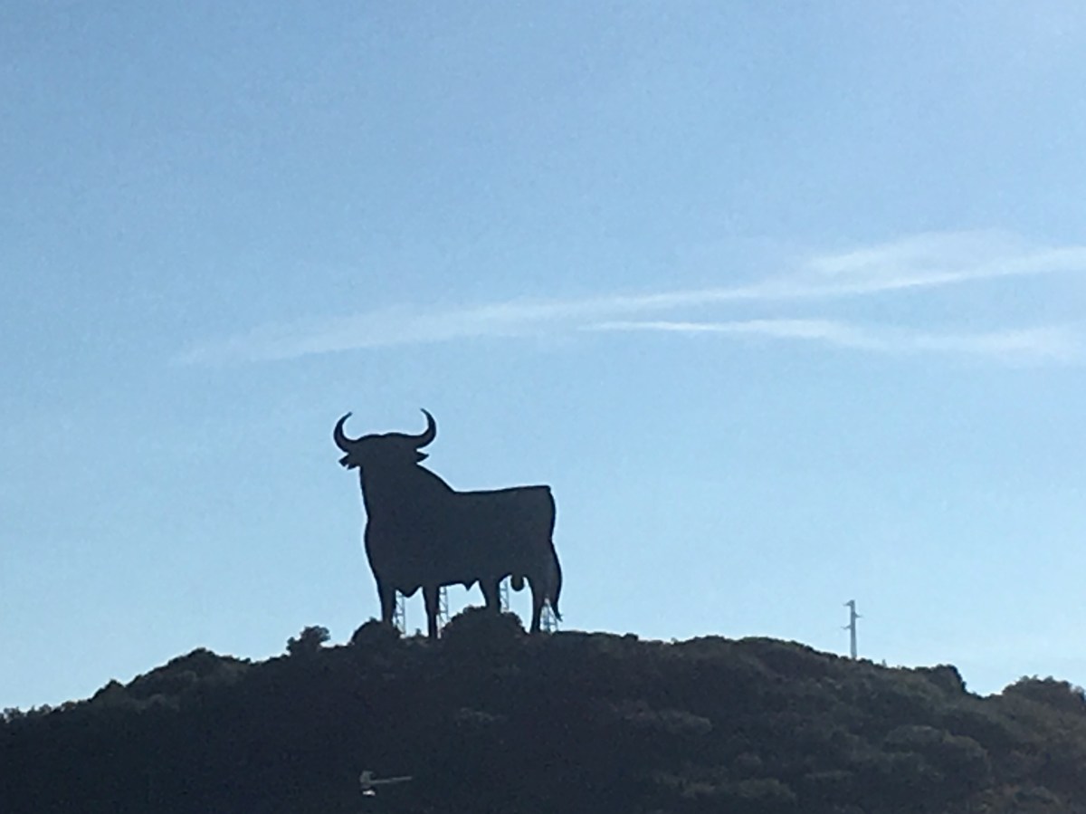 fullsizeoutput_16f6b