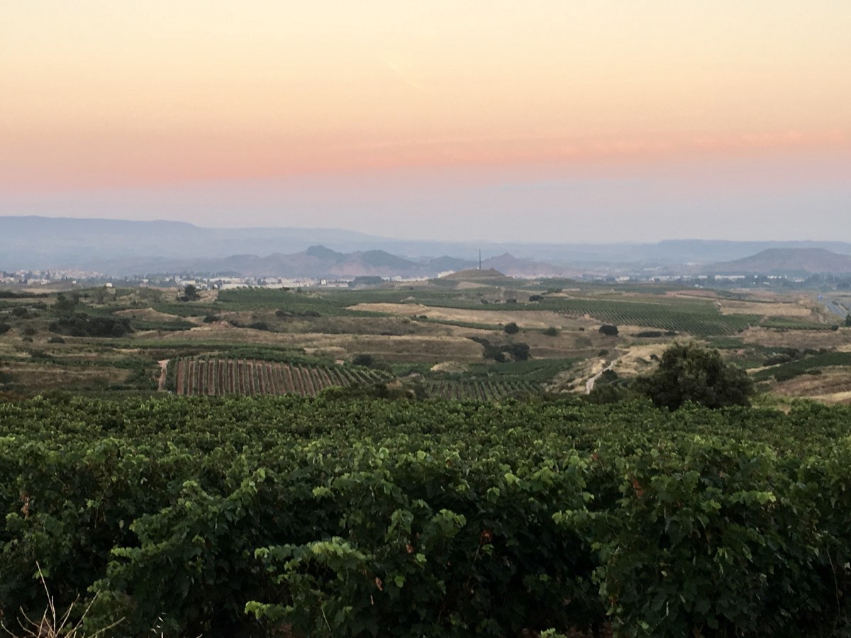 fullsizeoutput_17232