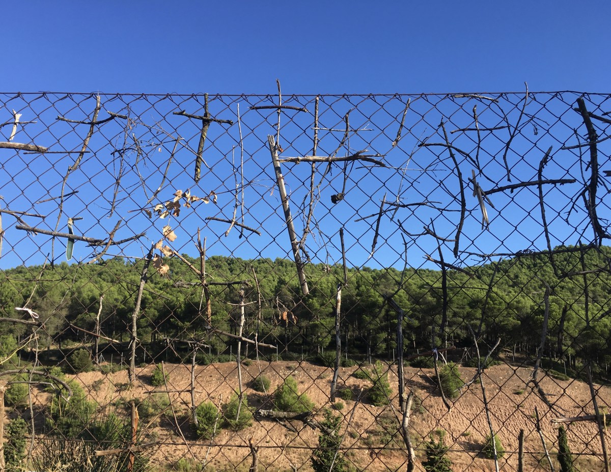 fullsizeoutput_17af1