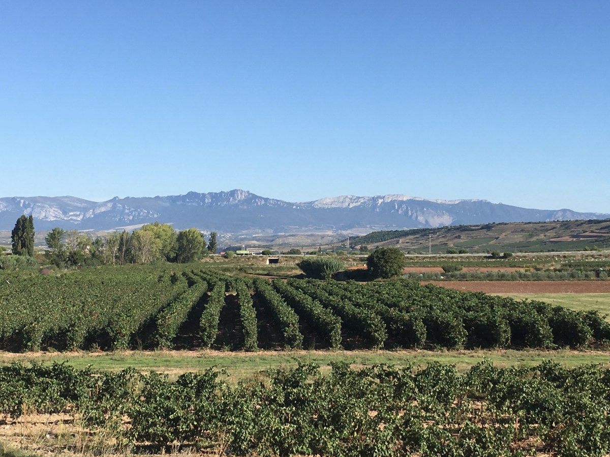 fullsizeoutput_17af3