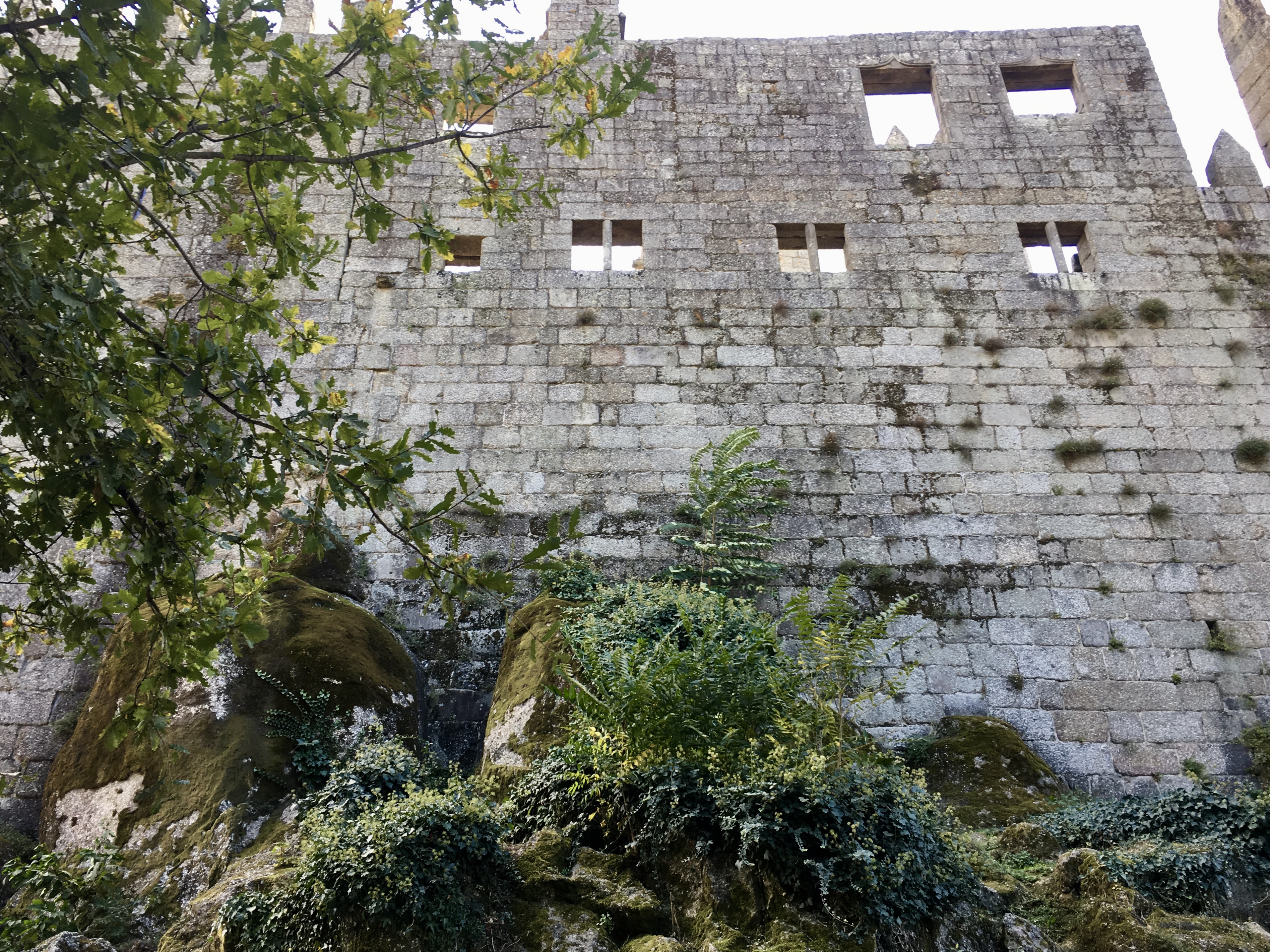 fullsizeoutput_17b3d