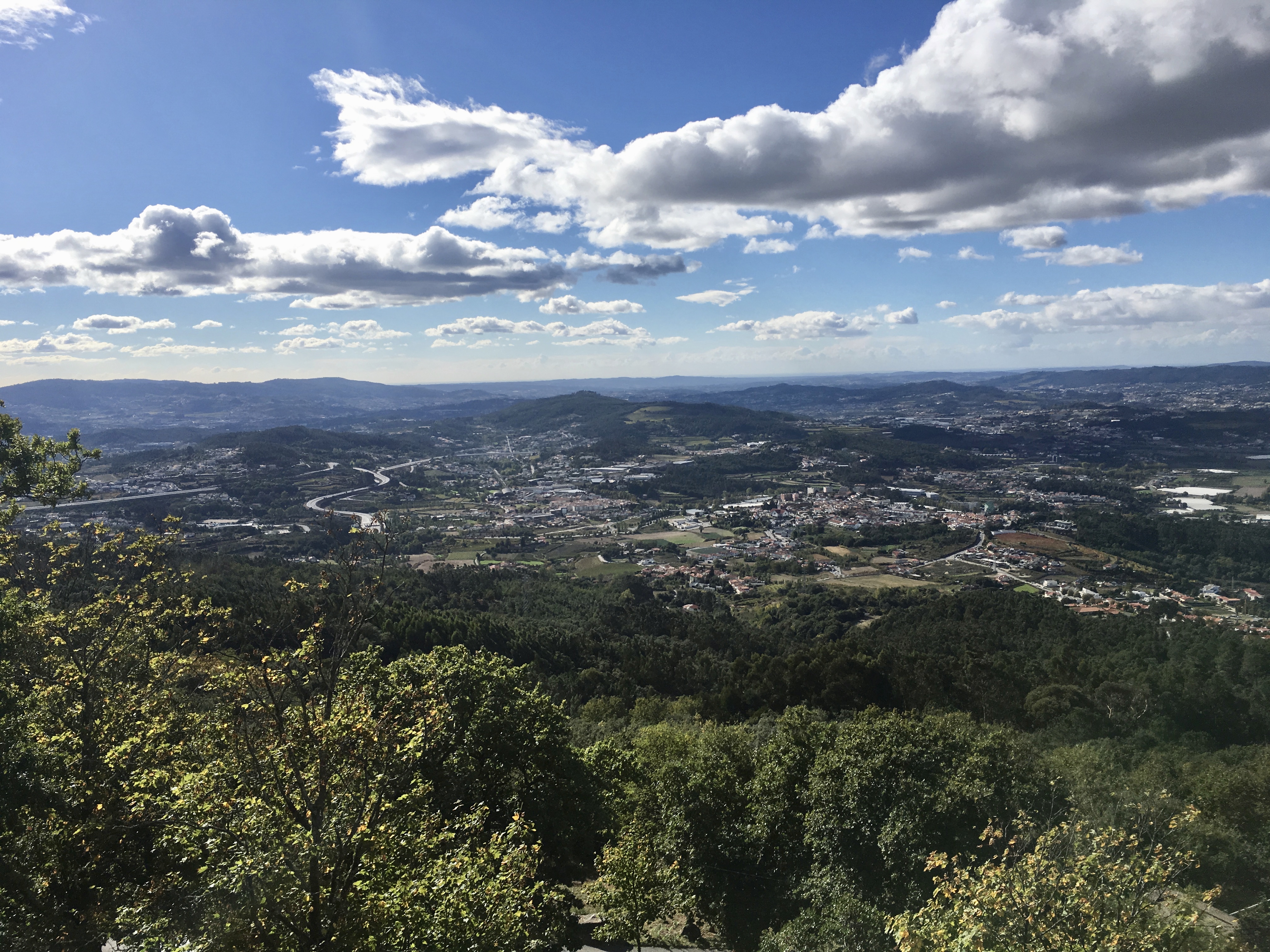 fullsizeoutput_17b63