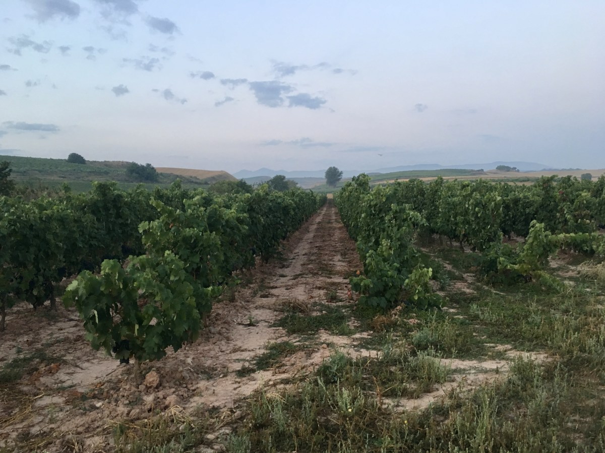 fullsizeoutput_17ba3