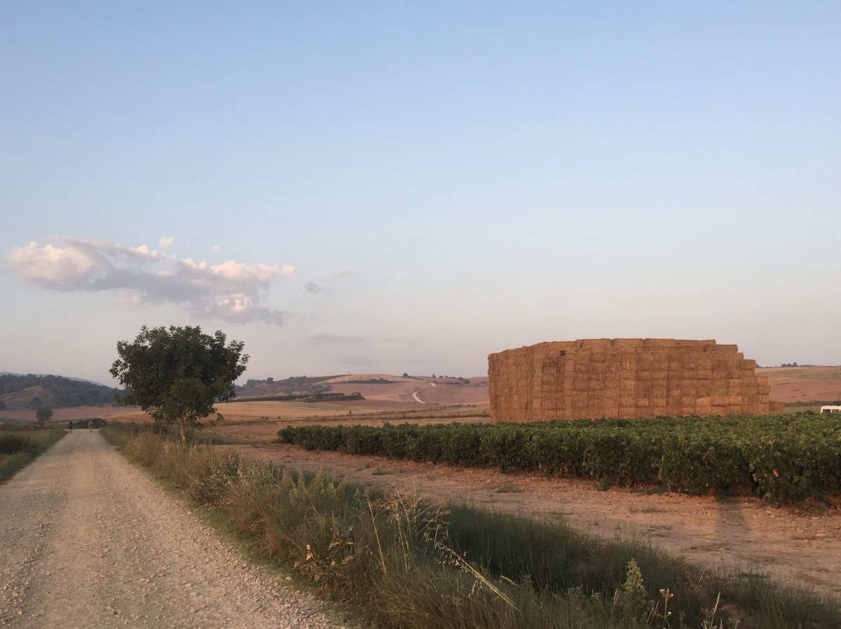 fullsizeoutput_17ba8