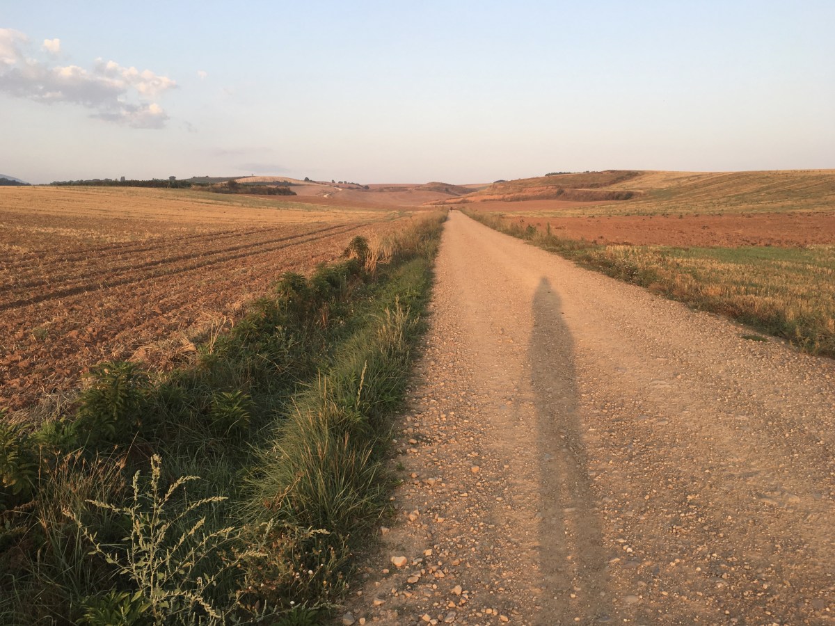 fullsizeoutput_17baa