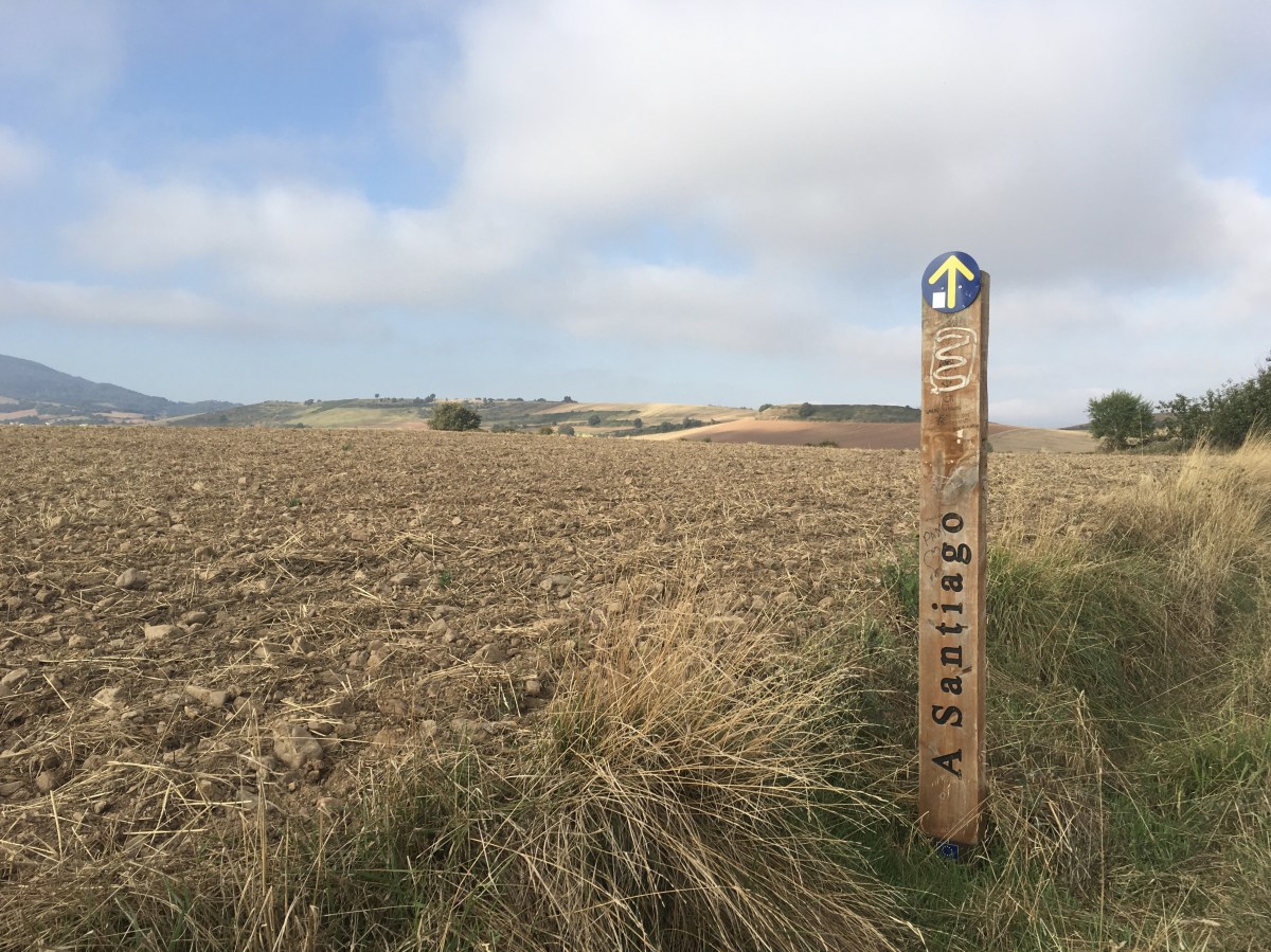 fullsizeoutput_17bb0