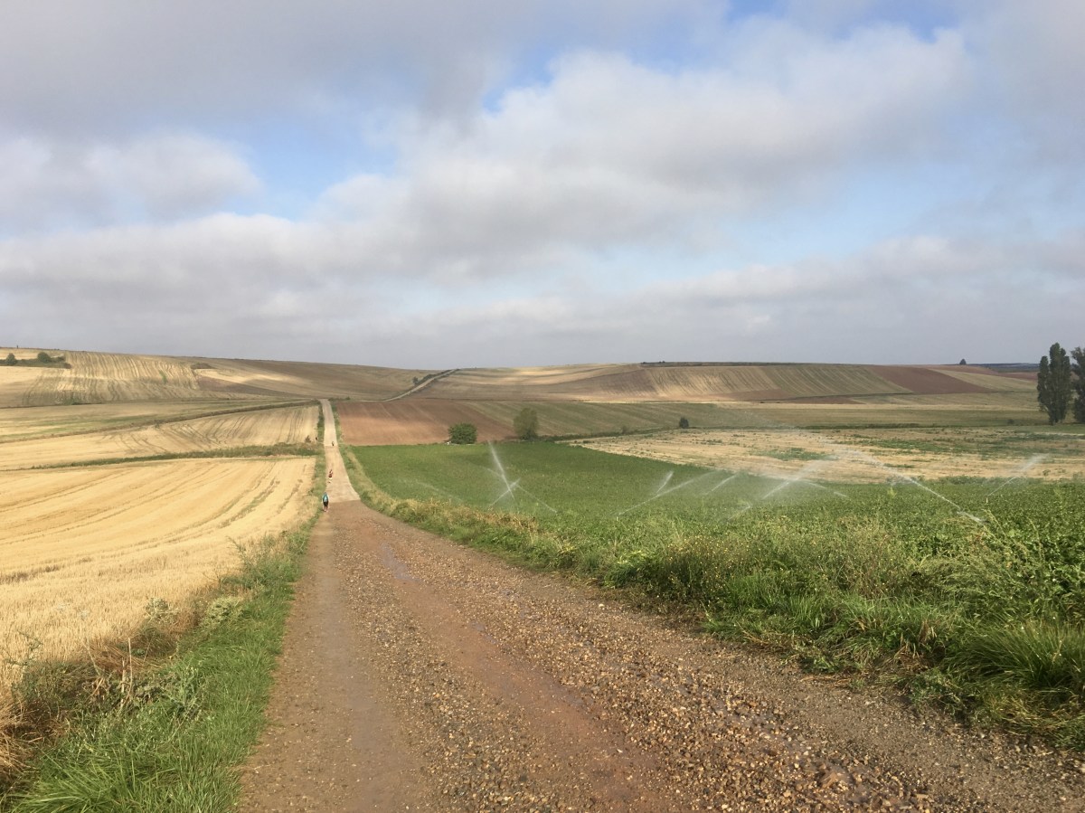 fullsizeoutput_17bb1