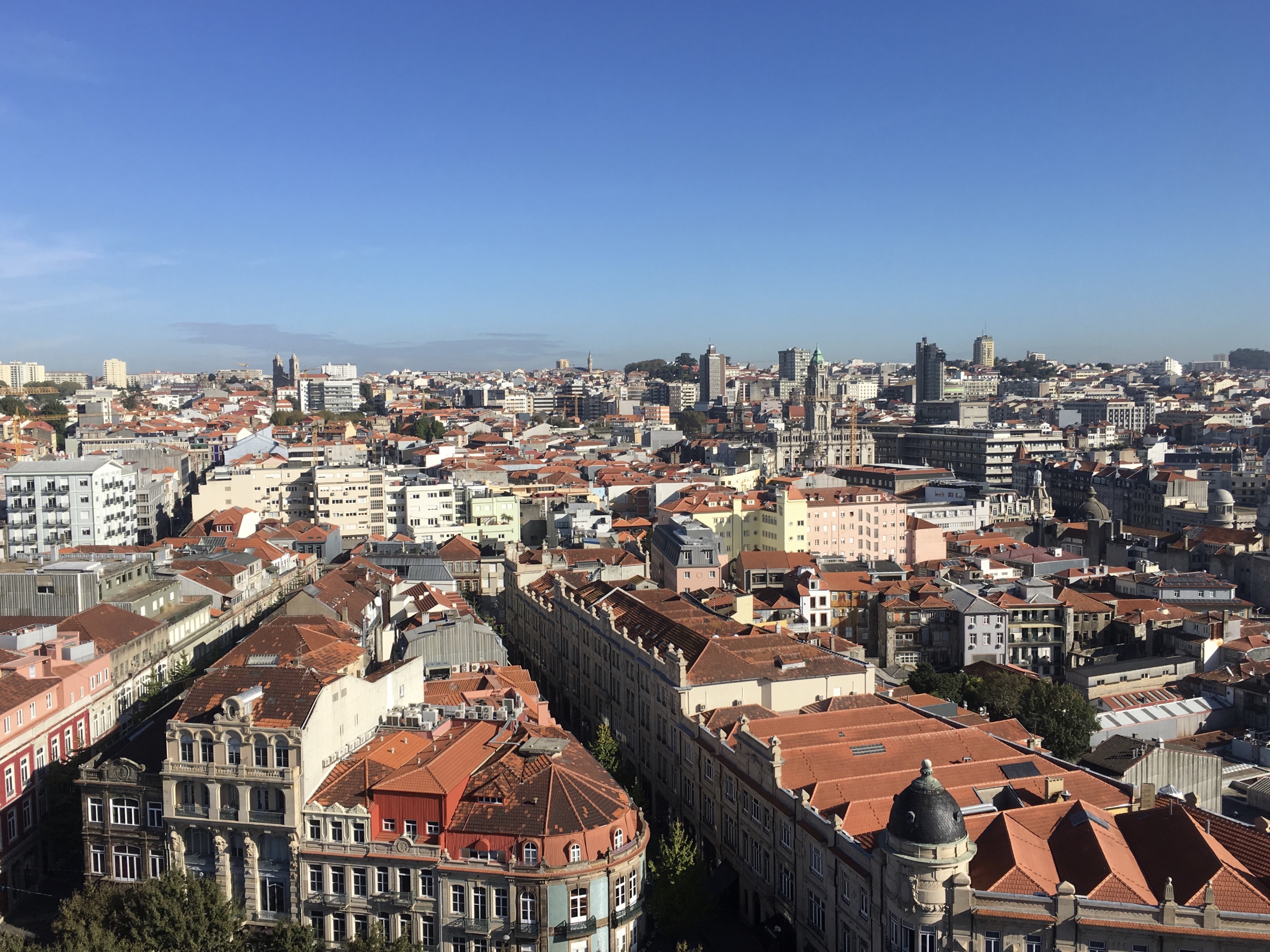 fullsizeoutput_17c9f