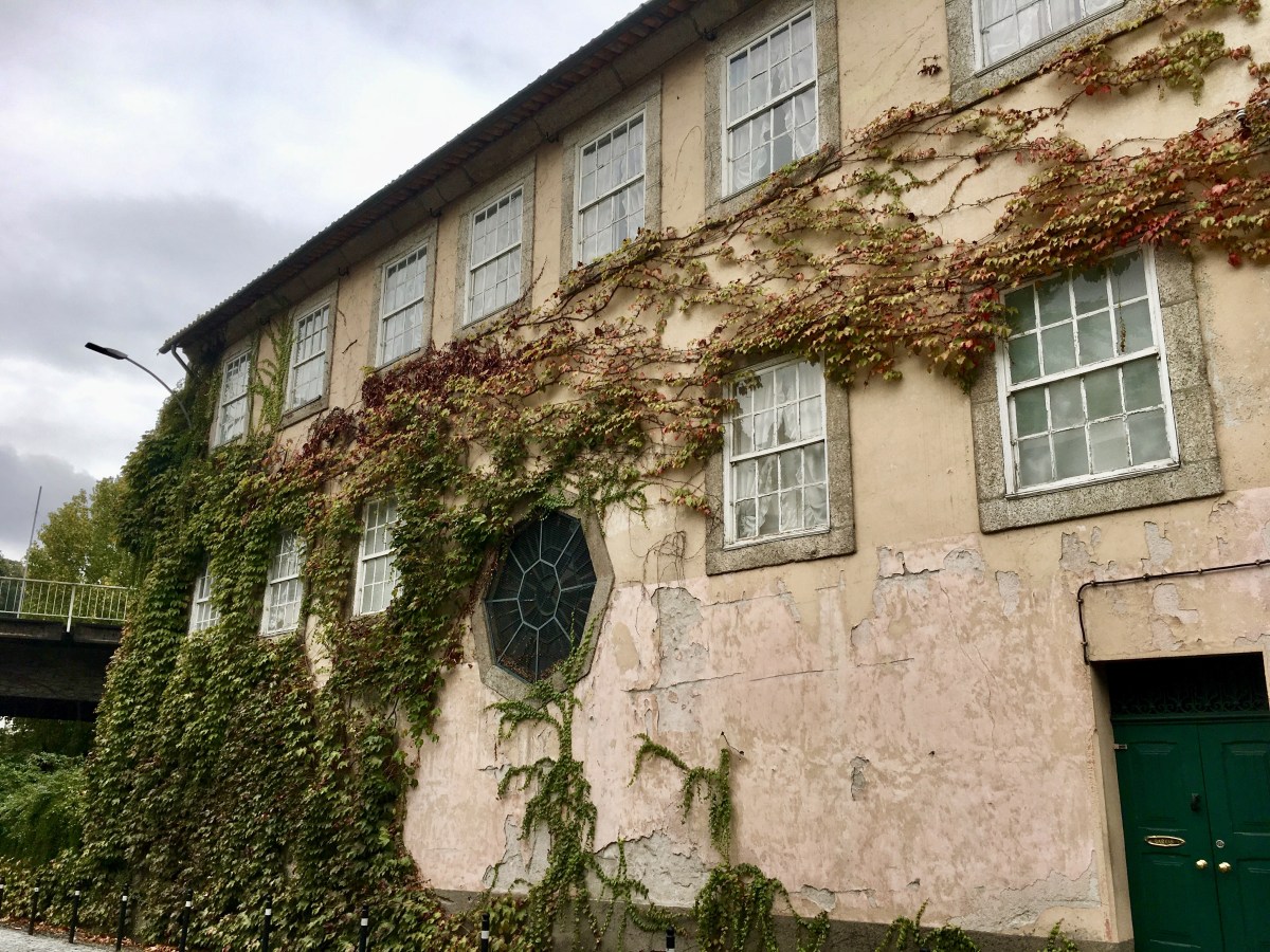 fullsizeoutput_17ecc