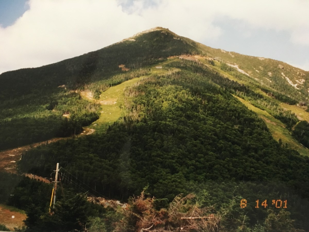 fullsizeoutput_1813f