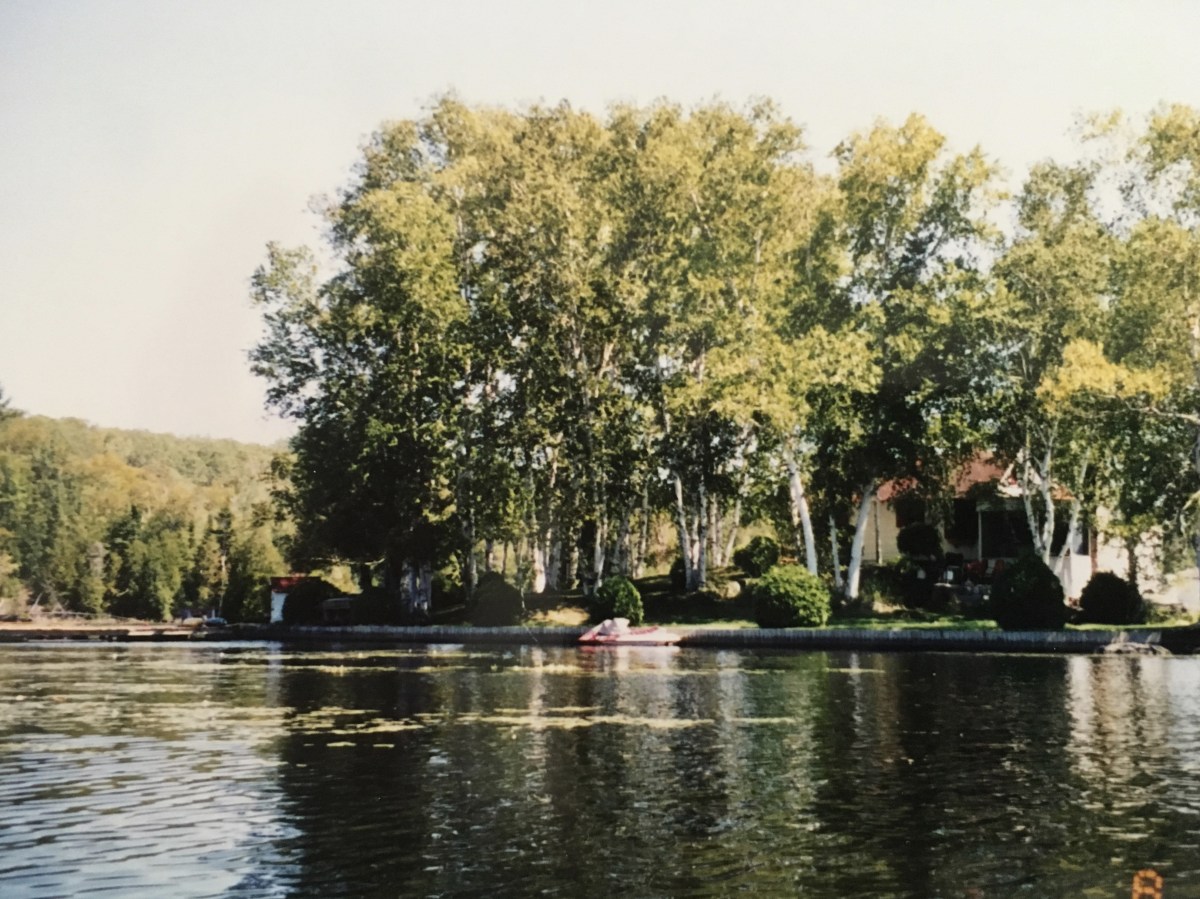 fullsizeoutput_1814c