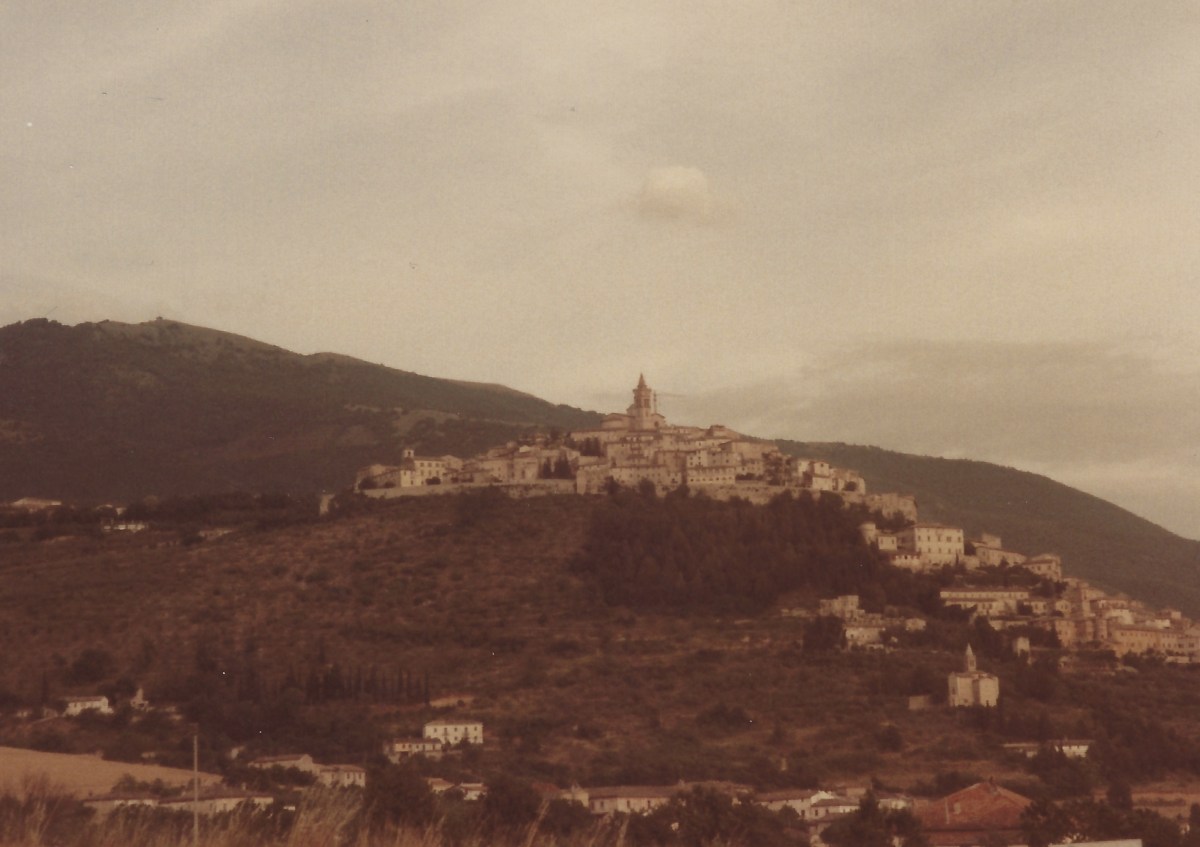 fullsizeoutput_18176