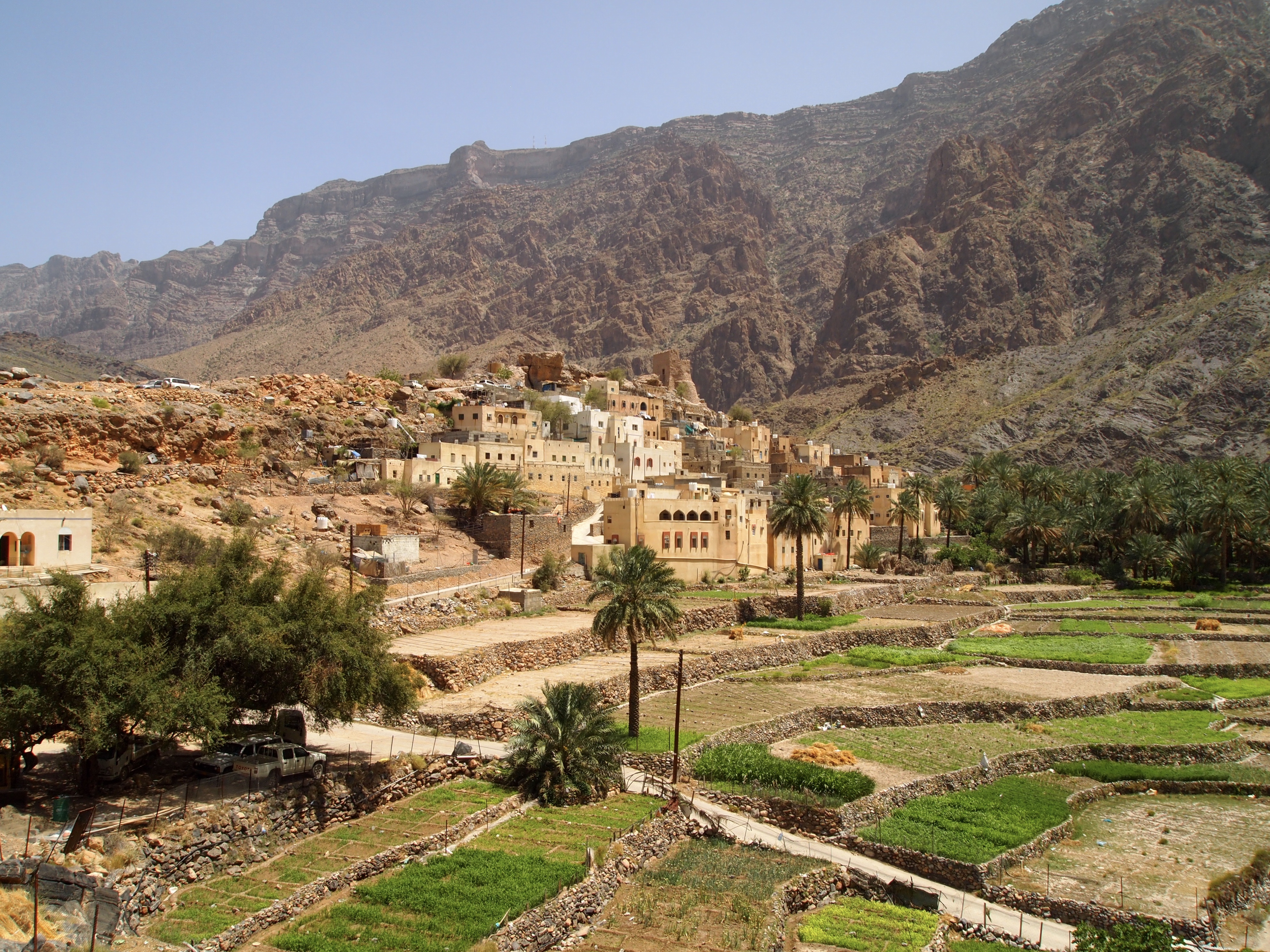 fullsizeoutput_158de