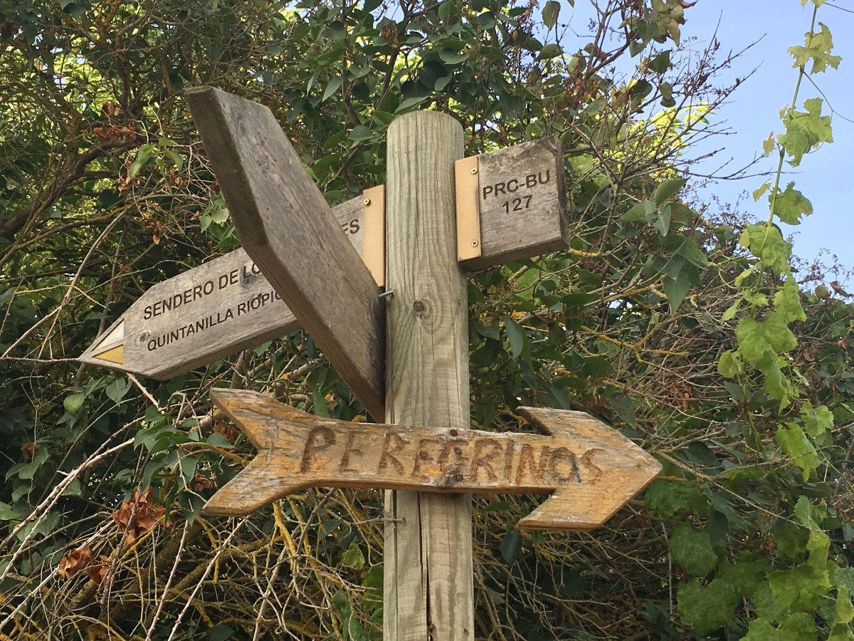 fullsizeoutput_16dc7