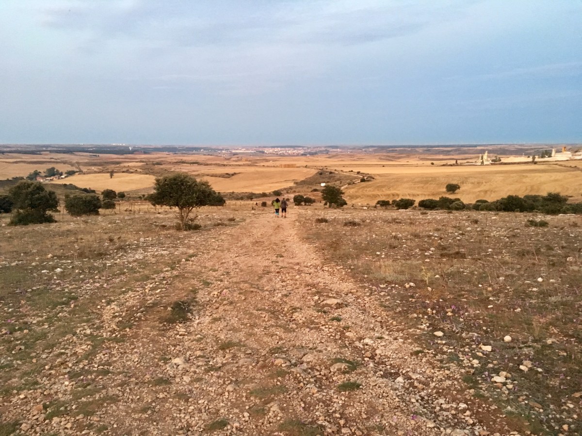 fullsizeoutput_16dde