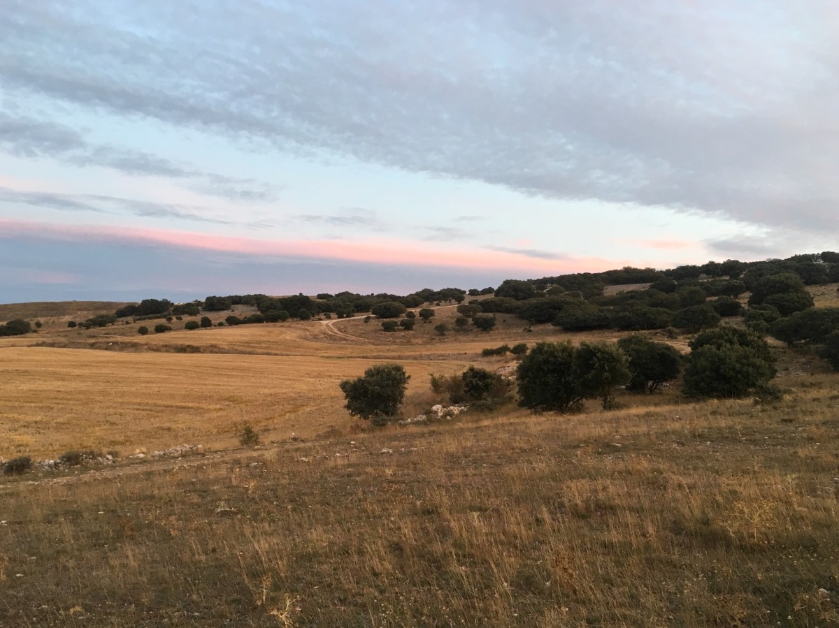 fullsizeoutput_16de1