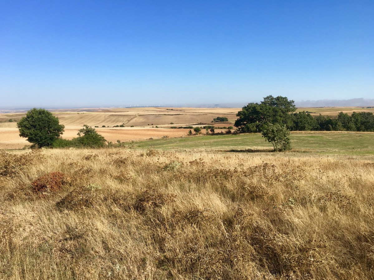 fullsizeoutput_16df5