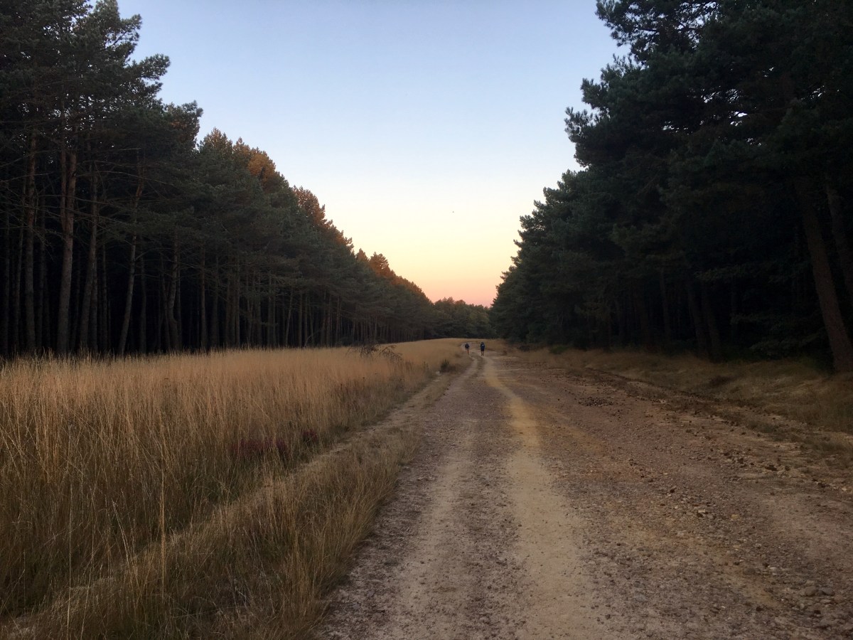 fullsizeoutput_16e08