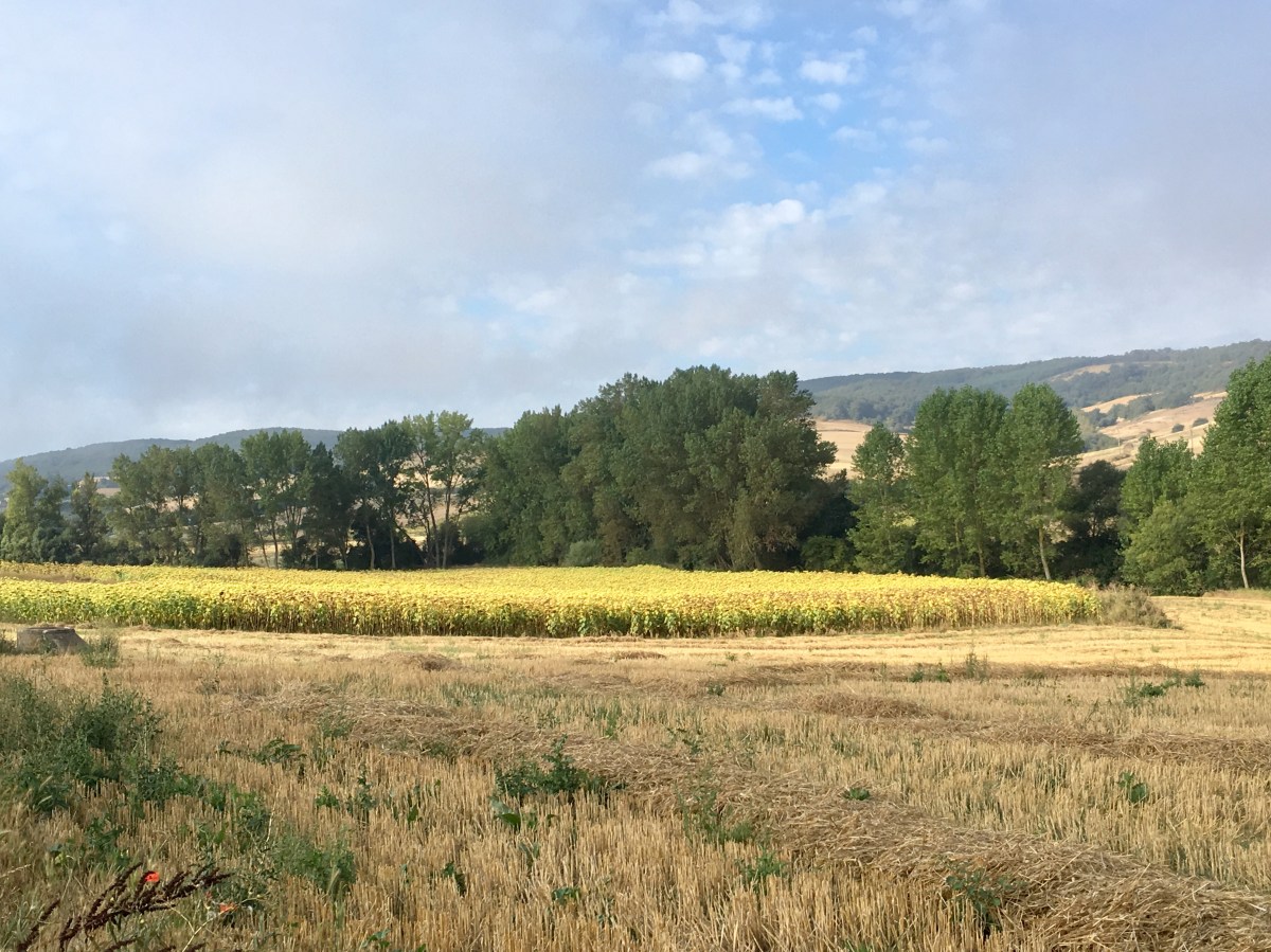 fullsizeoutput_16e30