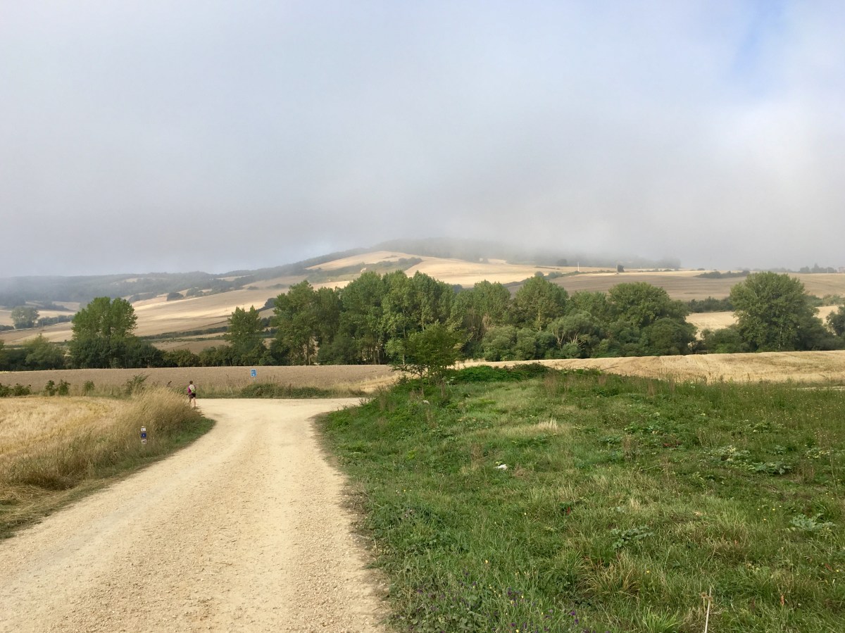 fullsizeoutput_16e58