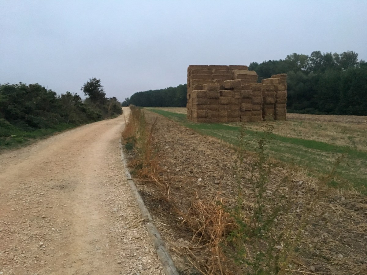 fullsizeoutput_16e67