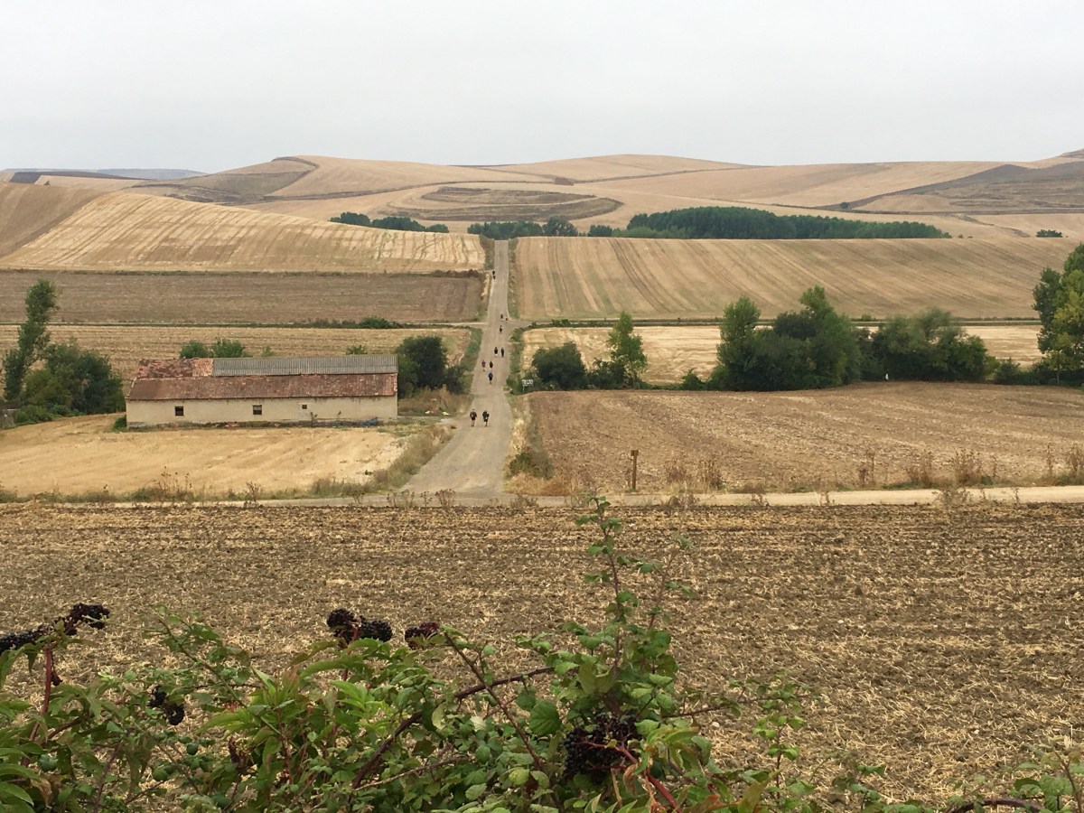 fullsizeoutput_16e97