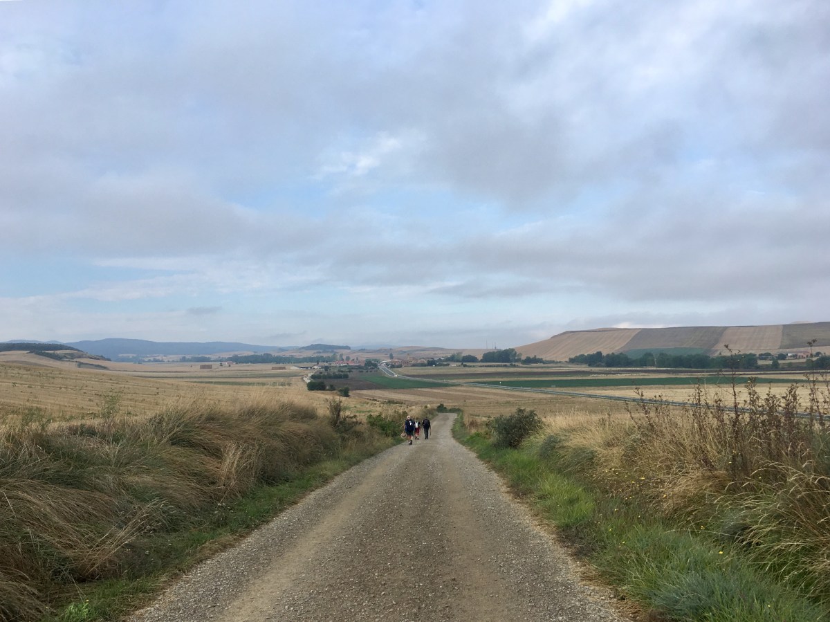 fullsizeoutput_16ea8