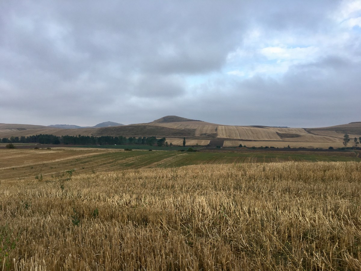 fullsizeoutput_16ebb