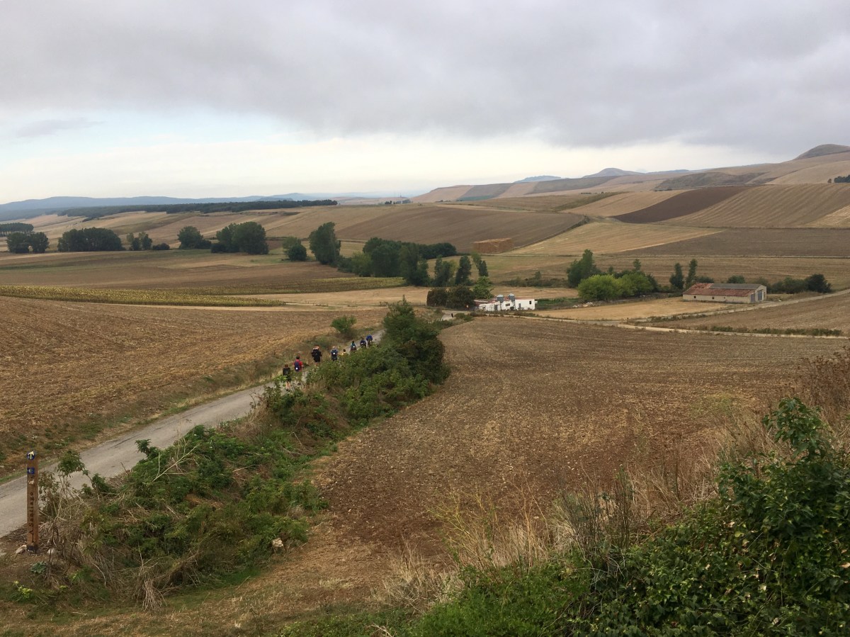 fullsizeoutput_16ebd