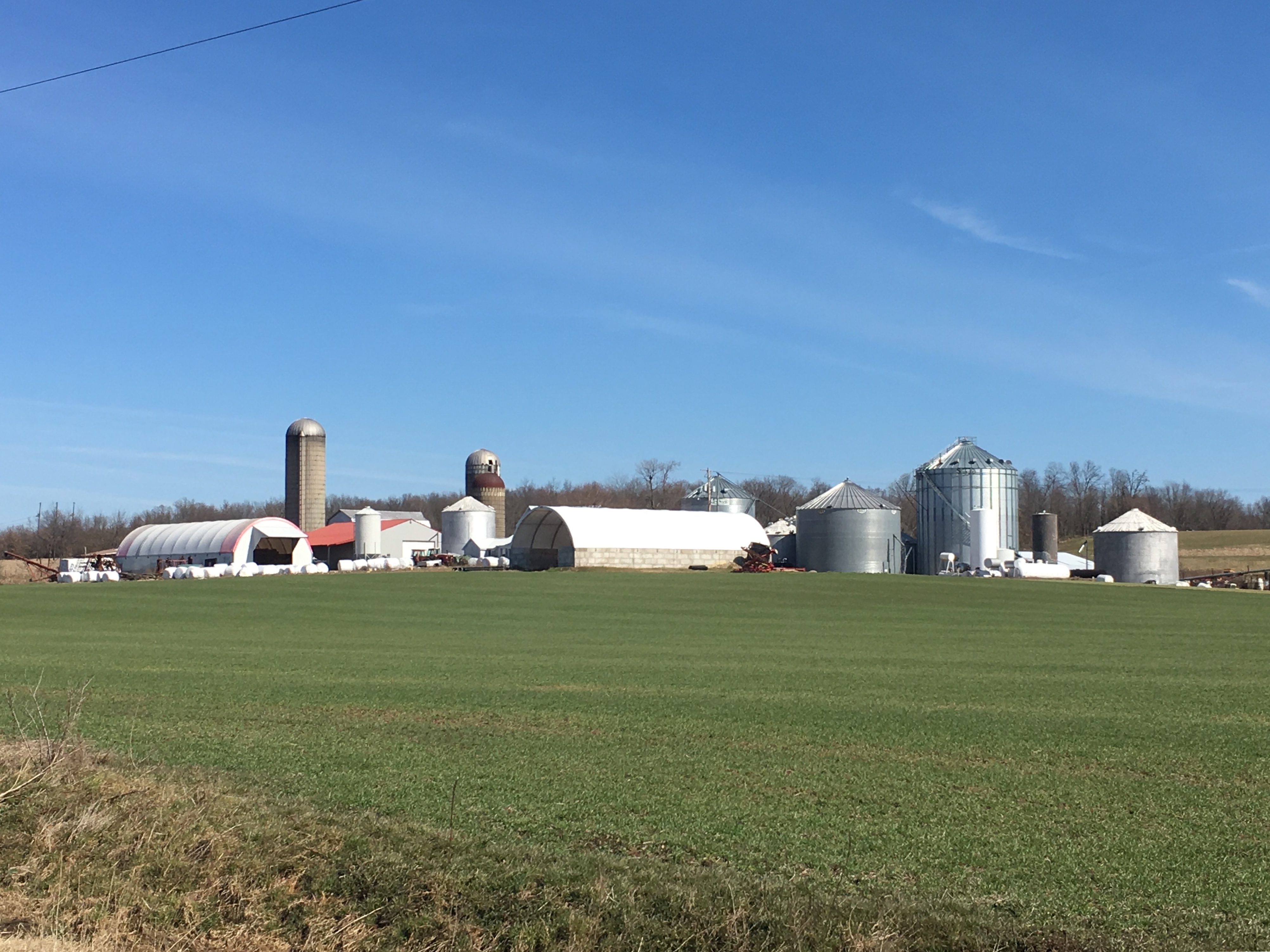 fullsizeoutput_17cd8