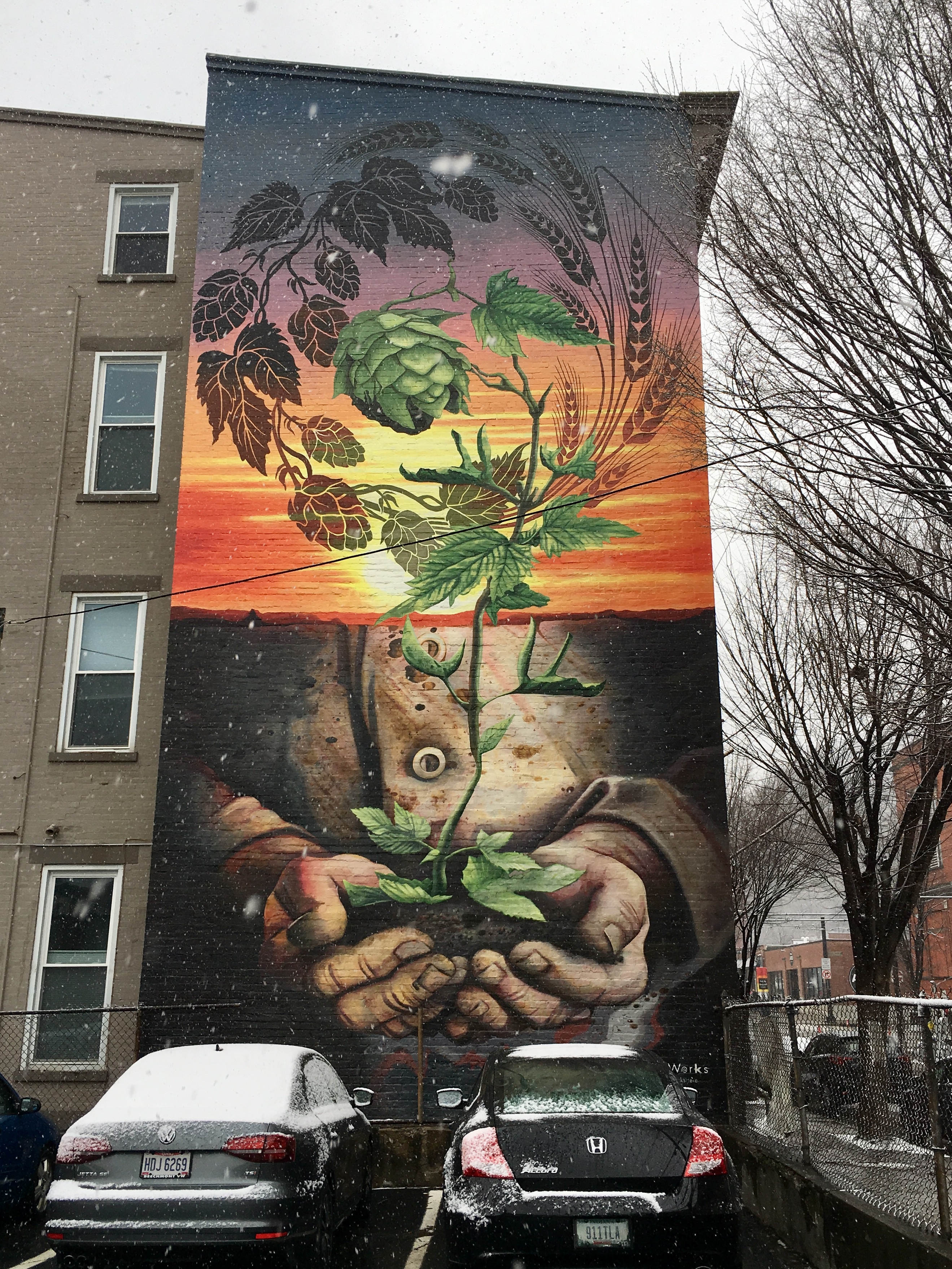 fullsizeoutput_17df6