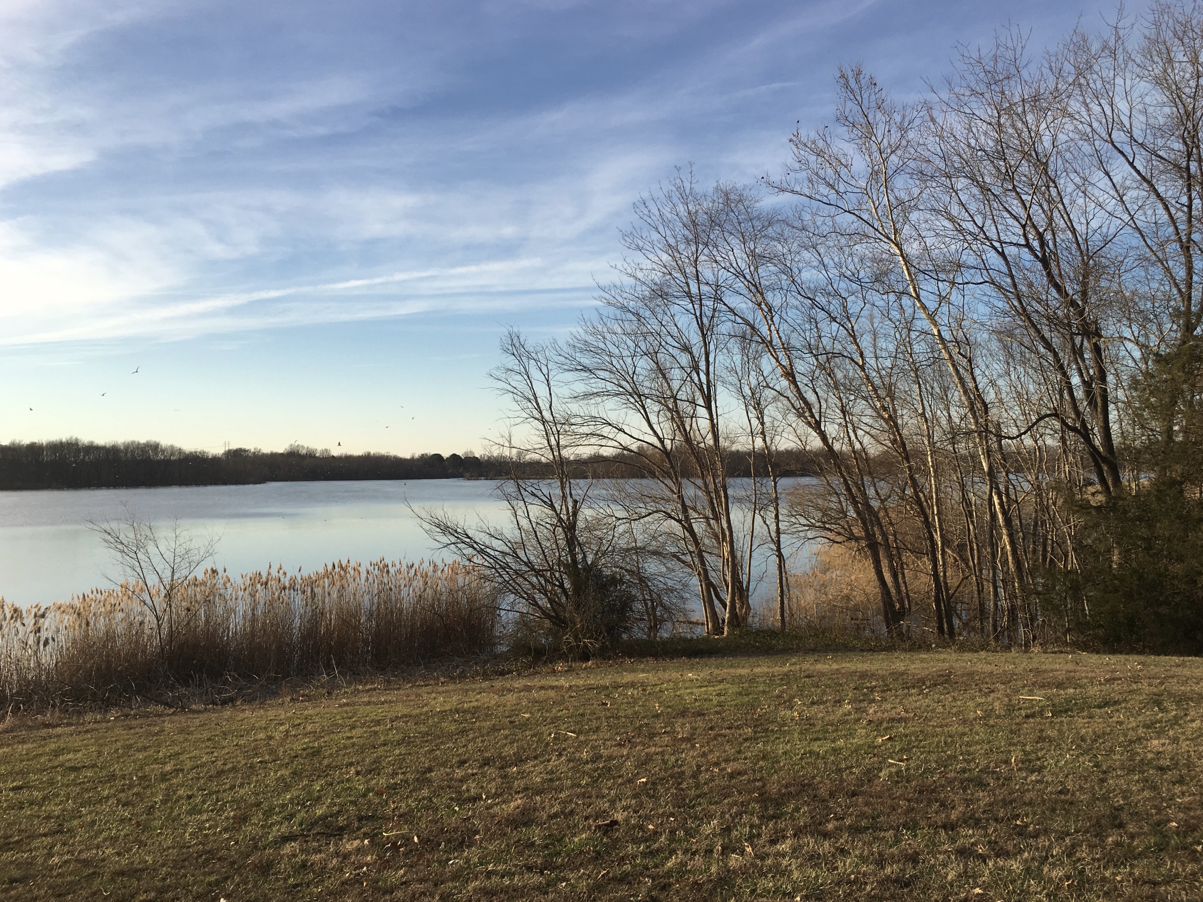 fullsizeoutput_18037