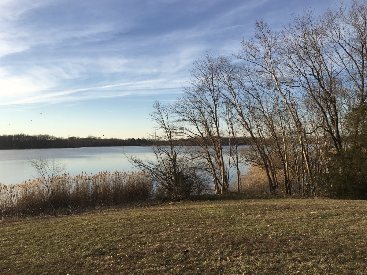 fullsizeoutput_18037