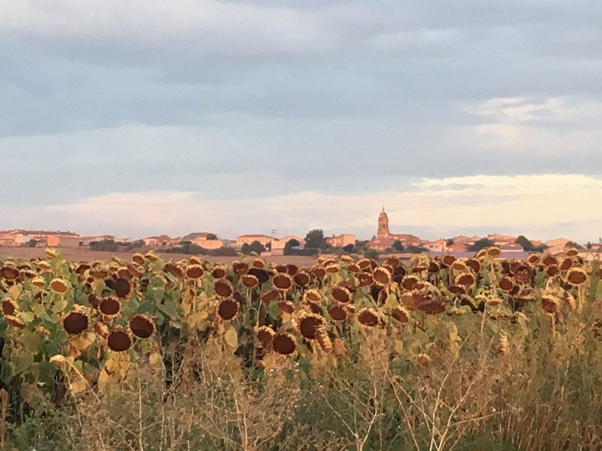 fullsizeoutput_18082