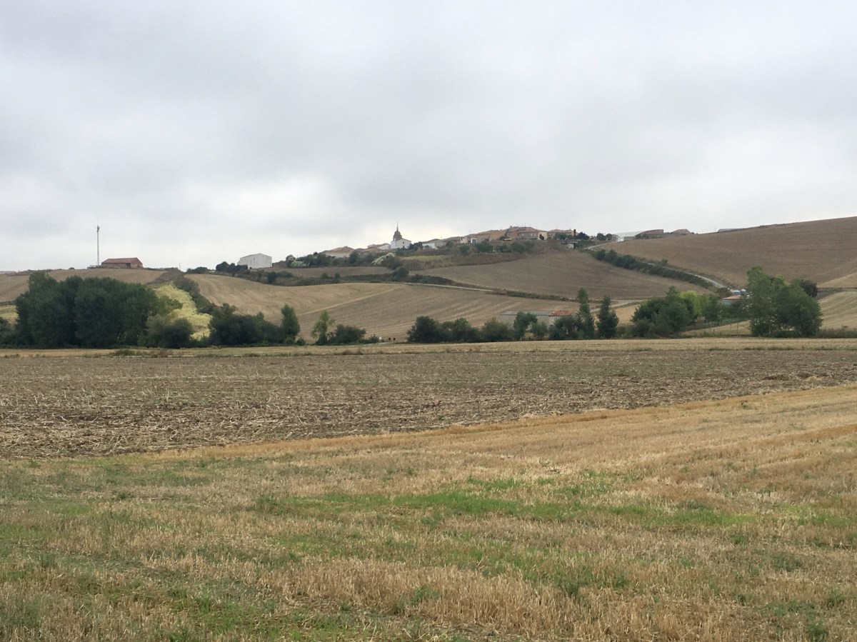 fullsizeoutput_1808c